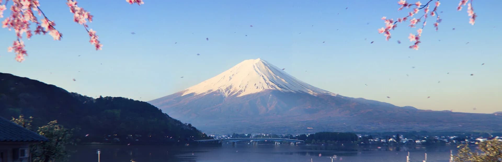 벚꽃이 흩날리는 호수 앞에서 눈 덮인 후지산이 정면에 서 있다