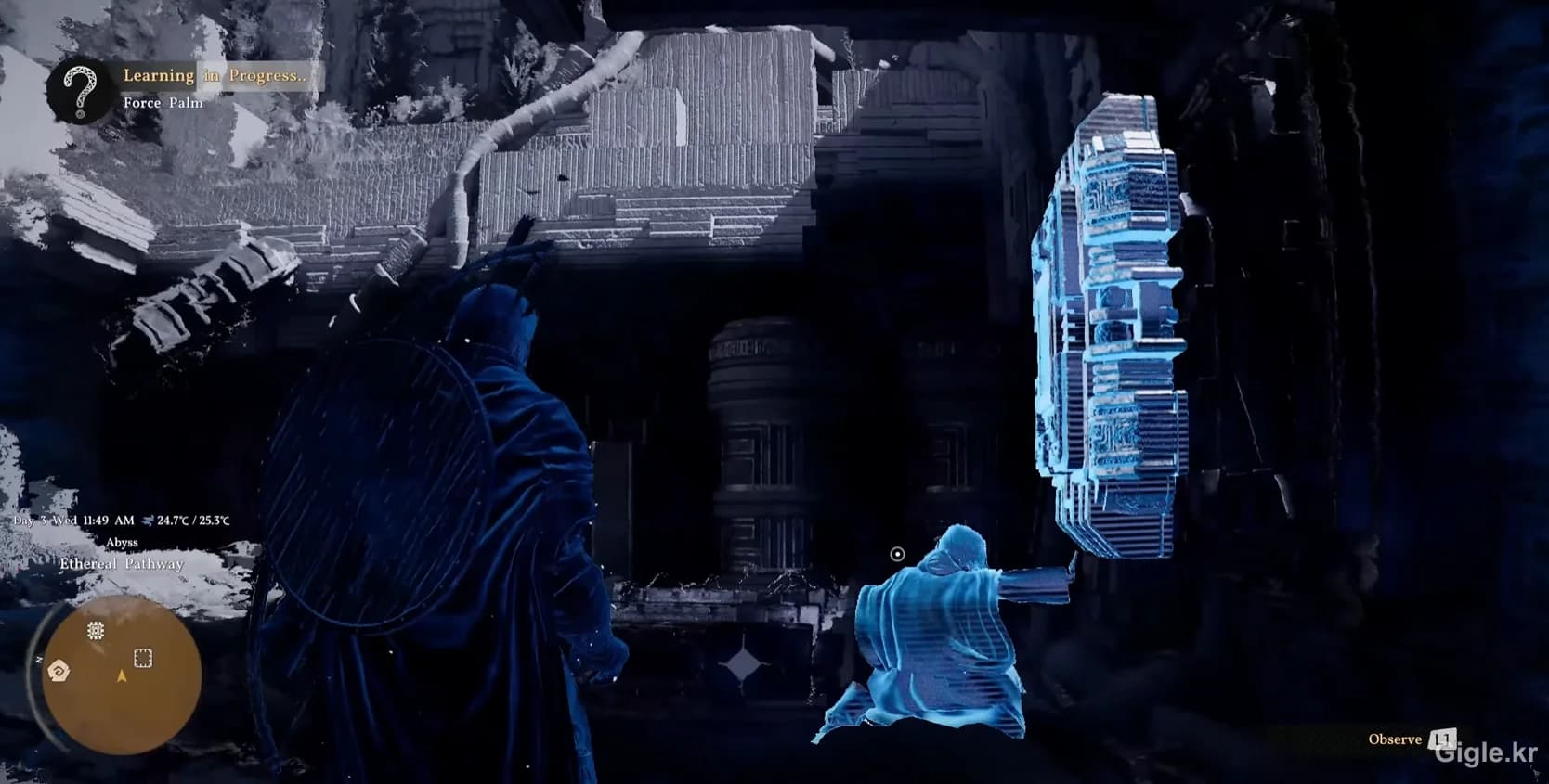 붉은사막 적 기술 관찰 학습