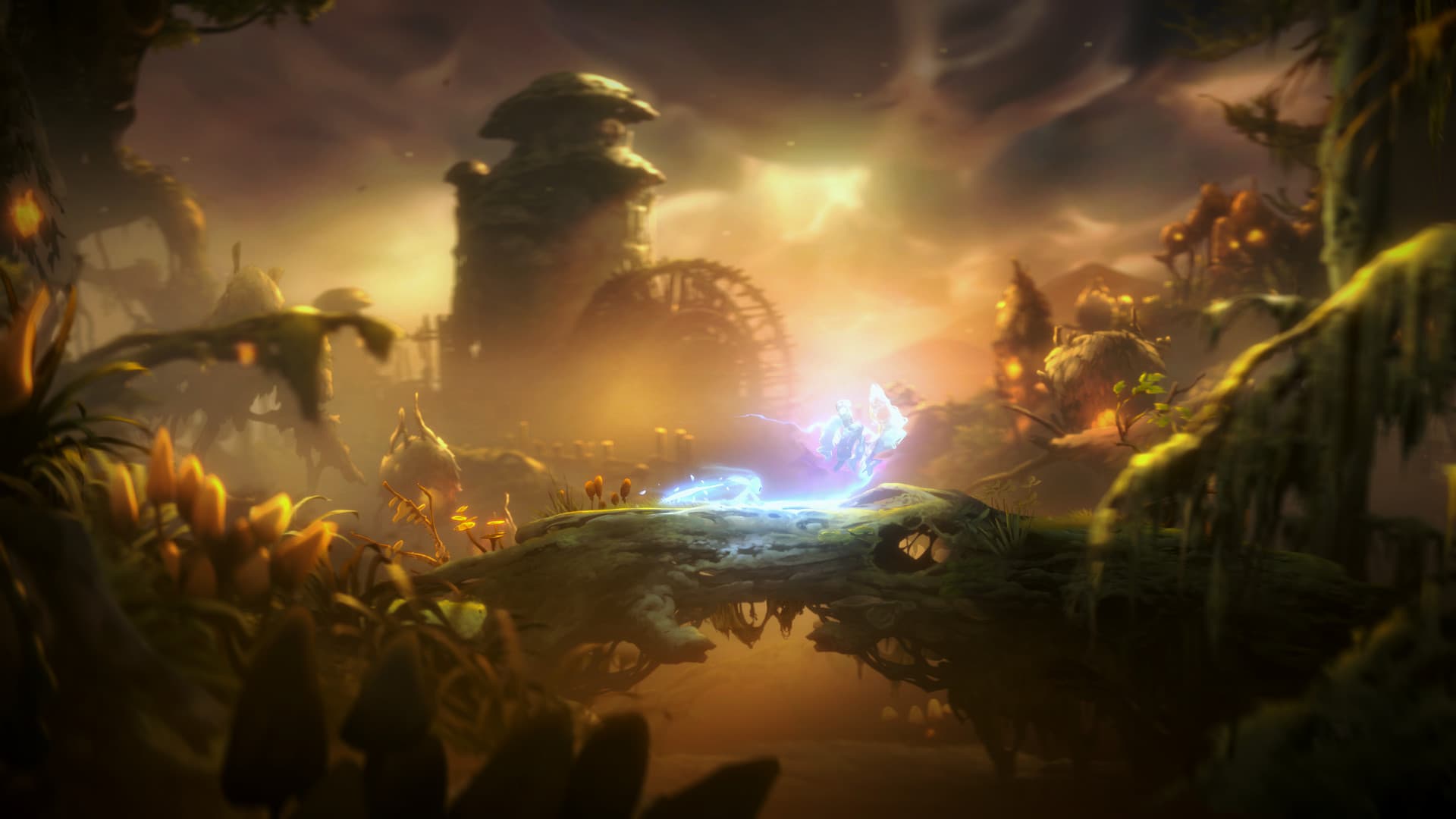 Ori and the Will of the Wisps 스크린샷 4