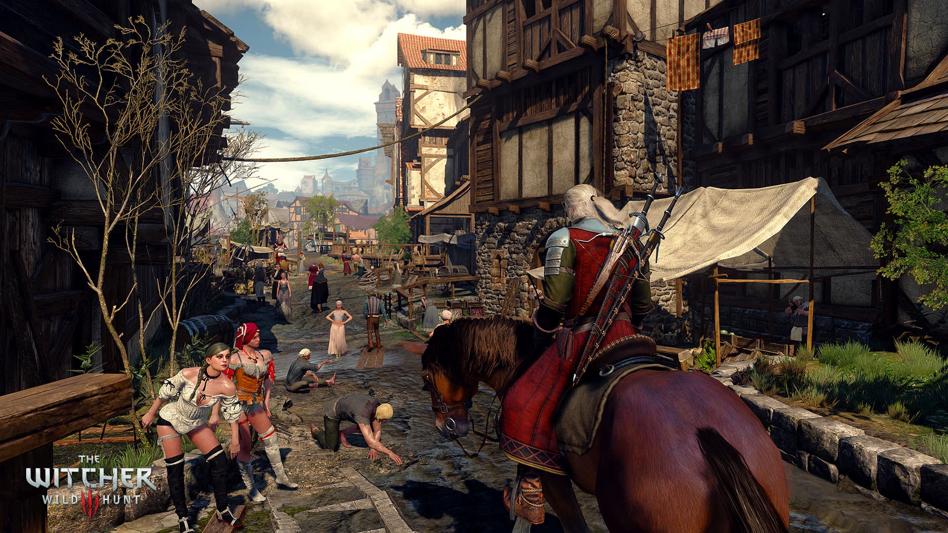 The Witcher 3: Wild Hunt 스크린샷 11