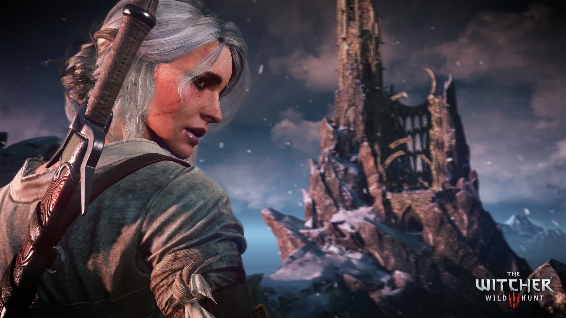 The Witcher 3: Wild Hunt 스크린샷 9
