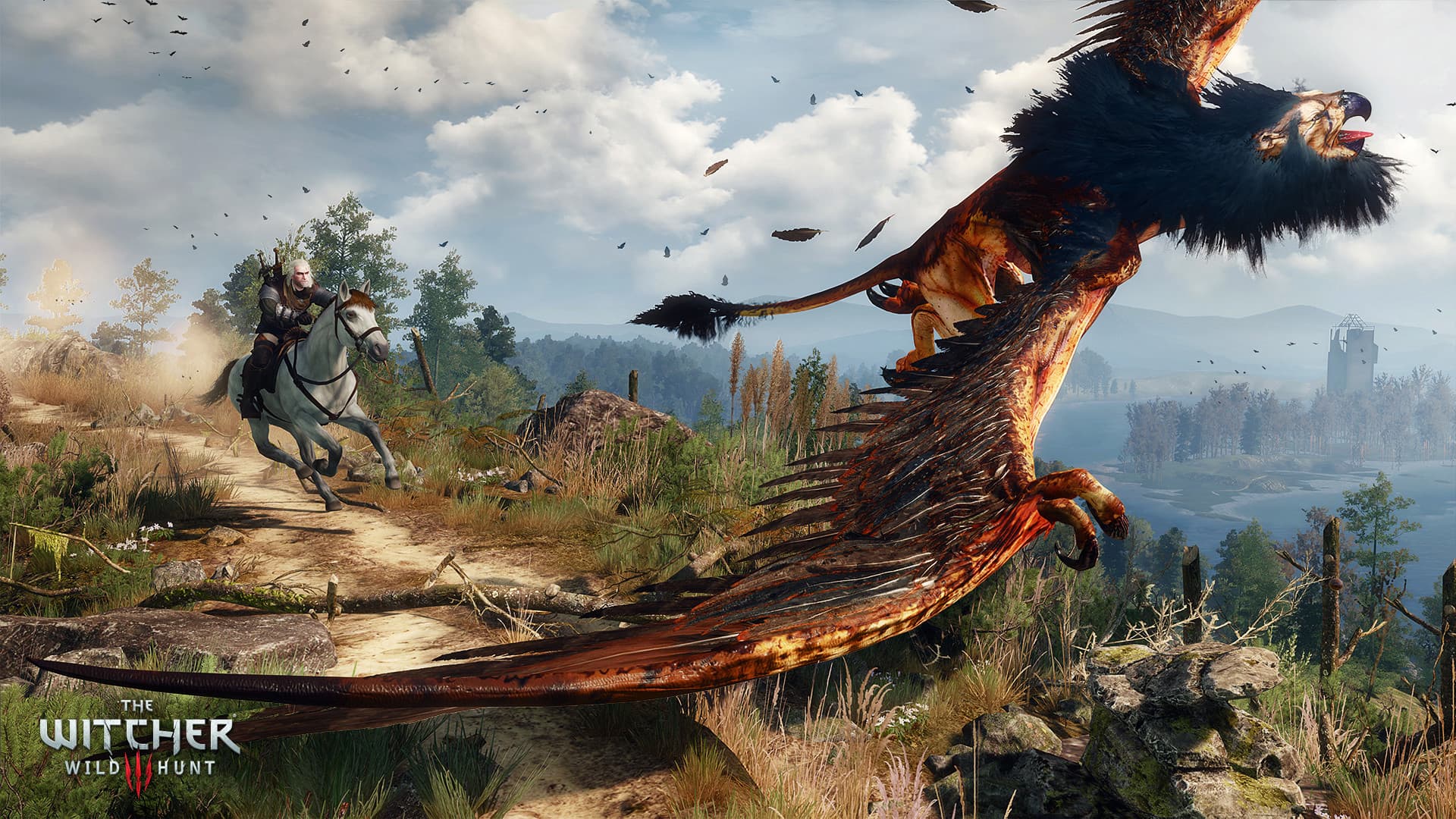 The Witcher 3: Wild Hunt 스크린샷 10