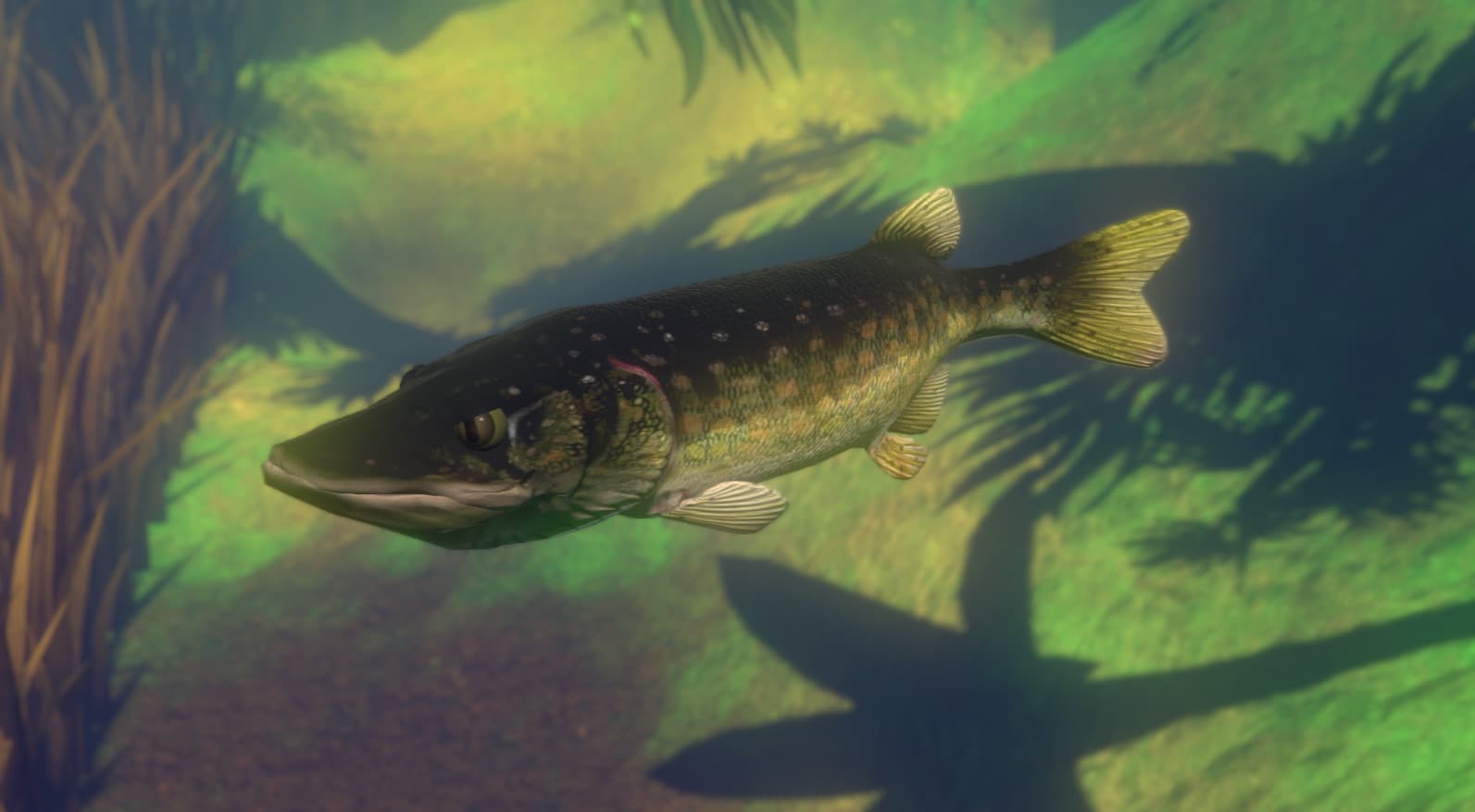 Feed and Grow: Fish 스크린샷 10
